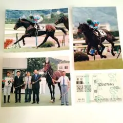 トウカイテイオー 第38回有馬記念 1993年 - メルカリ
