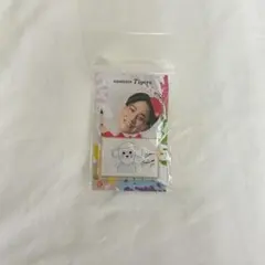 阪神タイガース 2025 選手アートふりふりキーホルダーのサムネイル