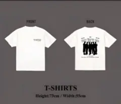 Tシャツ 2PM 東京ドーム プレミアムシート特典グッズ ジュノ JUNHO