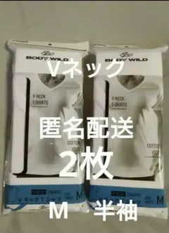 新品グンゼ ボディワイルド BODY WILD Vネック Tシャツ 肌着 M2枚