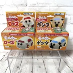 PUIPUI モルカー　はしる！シリーズ専用車両　ポンタ　ローズ　まとめ売り