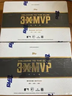 Item thumbnail for item e2991f5c-b262-4acc-9bbd-4c1c5dbe627a