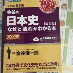 金谷の日本史 なぜと流れがわかる本 改訂版 文化史のサムネイル