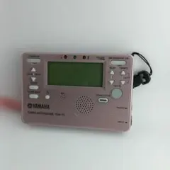 Item thumbnail for item 01c7a708-47db-4deb-95ca-45024d8f7404