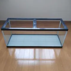 2026年最新】60cm水槽台 gexの人気アイテム - メルカリ