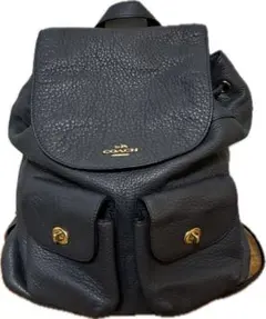 新品未使用】COACH/コーチ リア バックパック 21 CH789 黒 - メルカリ