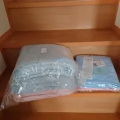 Item thumbnail for item 40523a09-5821-4977-a5dc-1386dca292e6