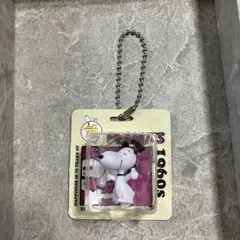 PEANUTS 75周年パッケージミニチュア カプセルトイ ガチャガチャ