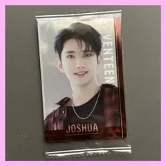 SEVENTEEN　ツインウエハース　ジョシュア　シール