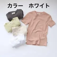 searoomlynn オールドコットBasic Tシャツのサムネイル