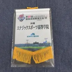 エナジックスポーツ高等学院　ベース型ペナント