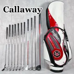 ゴルフクラブ メンズ セット