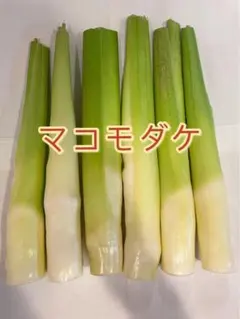 ★マコモダケ　500gのサムネイル
