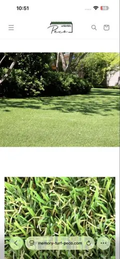 高級定価213400円 Memory Turf AG20 人工芝 2m×10m - メルカリ