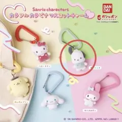 サンリオ　カラフル　カラビナ　マスコットチャーム　 ポチャッコ