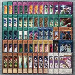 ハーピィレディ セット おすすめ