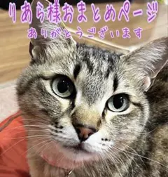 りあら様おまとめページ