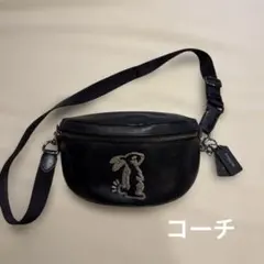 セレーナゴメス×コーチ　コラボ　ボディバック