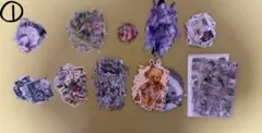 ごま様 リクエスト 2点 まとめ商品
