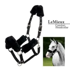 Item thumbnail for item feee15ab-aaec-438b-9153-6adeee6455da