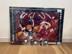 【新品/未使用】一番くじ ハイキュー‼︎ゴミ捨て場の決戦 C賞 その他