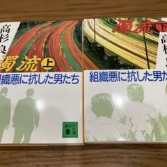 アイルトン様 リクエスト 10点 まとめ商品