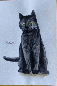 黒猫のイラスト ハガキサイズ