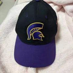 90s ヴィンテージ NFL ミネソタバイキングス キャップ パープル