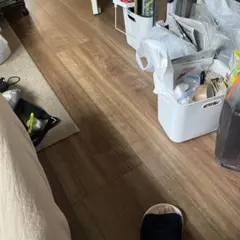 ペット
