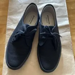 Item thumbnail for item f39c4c3d-3a25-4100-bbb7-eeedf4477159