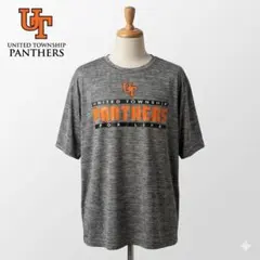 PANTHERS カレッジ グラフィック 半袖Tシャツ 3XL ヘザーグレー