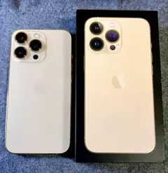 【美品】iPhone 13Pro 256GB香港版