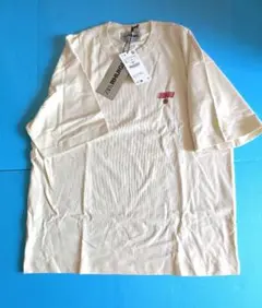 ZARA RHUIGI Tシャツ 新品タグ付きのサムネイル