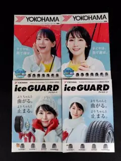 Item thumbnail for item cc07c056-185e-45a6-9ec6-e3f760b2523e