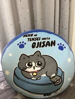 猫に転生したおじさん クッション ぷんちゃん