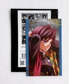【新品】鬼滅の刃　無限城編　第一章　描き下ろしイラスト　フォトカード　義勇
