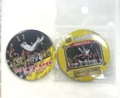 阪神タイガース today's hero 優勝Ver 缶バッジ イチオシ缶バッジ