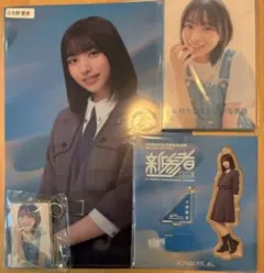 Item thumbnail for item c3e4af93-d111-4263-9154-773f7e4639cd