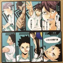 ハイキュー 排球援 ボードゲーム ボドゲ トランプ カード 及川徹 岩泉一 特典