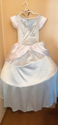 大人用 水色 シンデレラキャラクター衣装 ドレス(パニエ付)