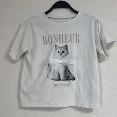 猫プリント 半袖 Tシャツ アイボリー　GRL