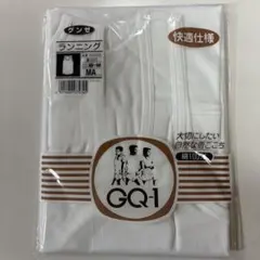 グンゼ GQ-1 ランニング MAサイズ