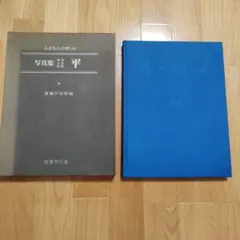 Item thumbnail for item 73df6d46-4e8e-49b5-a62b-da9bc86ba60a