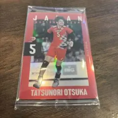 バレーボール男子日本代表　大塚達宣選手