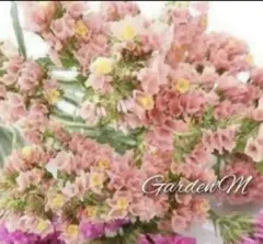 布ブーケ№9❇︎ ニュアンススターチス❇︎母の日❇︎プレゼント❇︎メルカリ便 布ブーケ№9❇︎ ニュアンススターチス❇︎母の日❇︎プレゼント