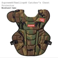 Item thumbnail for item 6329fd19-c01a-426f-940a-179e2f0fdc79