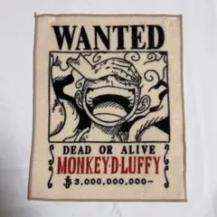 ワンピース ルフィ WANTED ハンドタオル匠ノ系譜覇極手配書F賞ニカ
