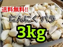 【送料無料】令和7年度産 無農薬 バラにんにく 3kg ニンニク