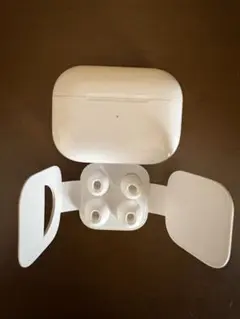 Apple AirPods Pro 第1世代 充電ケース 片耳Rのサムネイル