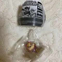 パウパトロール スタンド フィギュア スカイ